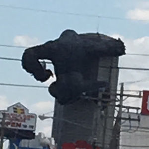 Meet your Posher, Kyle